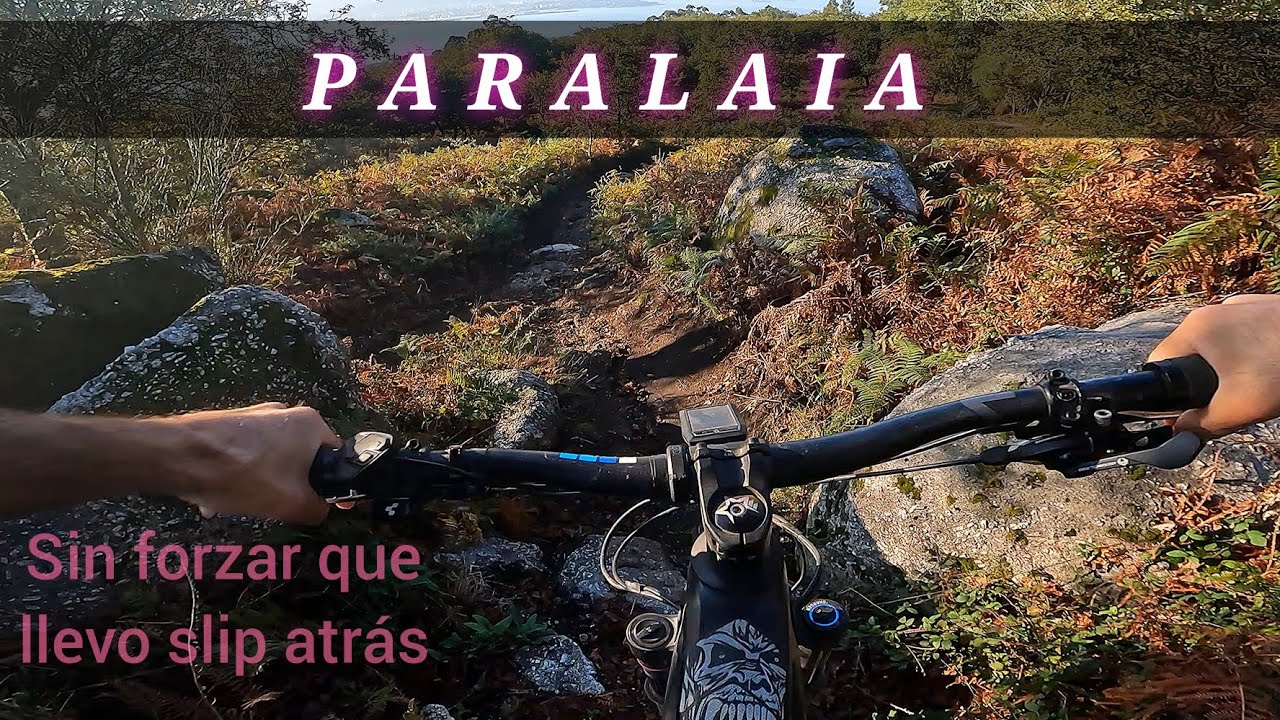 PARALAIA✴️DH/Aserradero -Flow/ dos hermanos/ Tinta Femia/ Barraca/ Rancherita / 124- Mayonesa/ Acebo