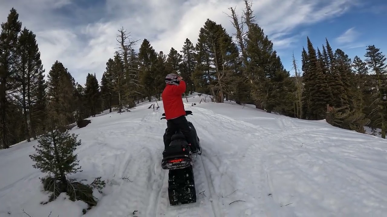 Hill