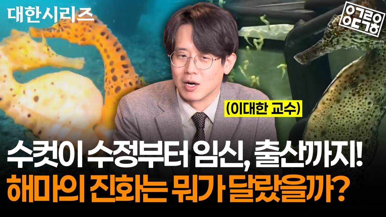 수컷이 임신하고 출산까지? 해마가 이렇게 진화한 이유는? [대한시리즈 이보디보 7부 1/2] (성균관대학교 이대한 교수)