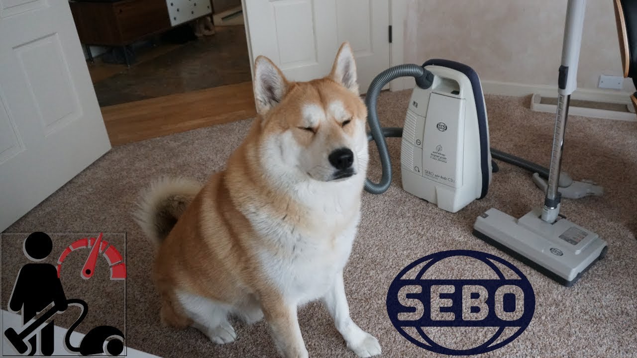 SEBO C3.1 Canister Vacuum Review - The Forgotten German Luxury Vacuum 