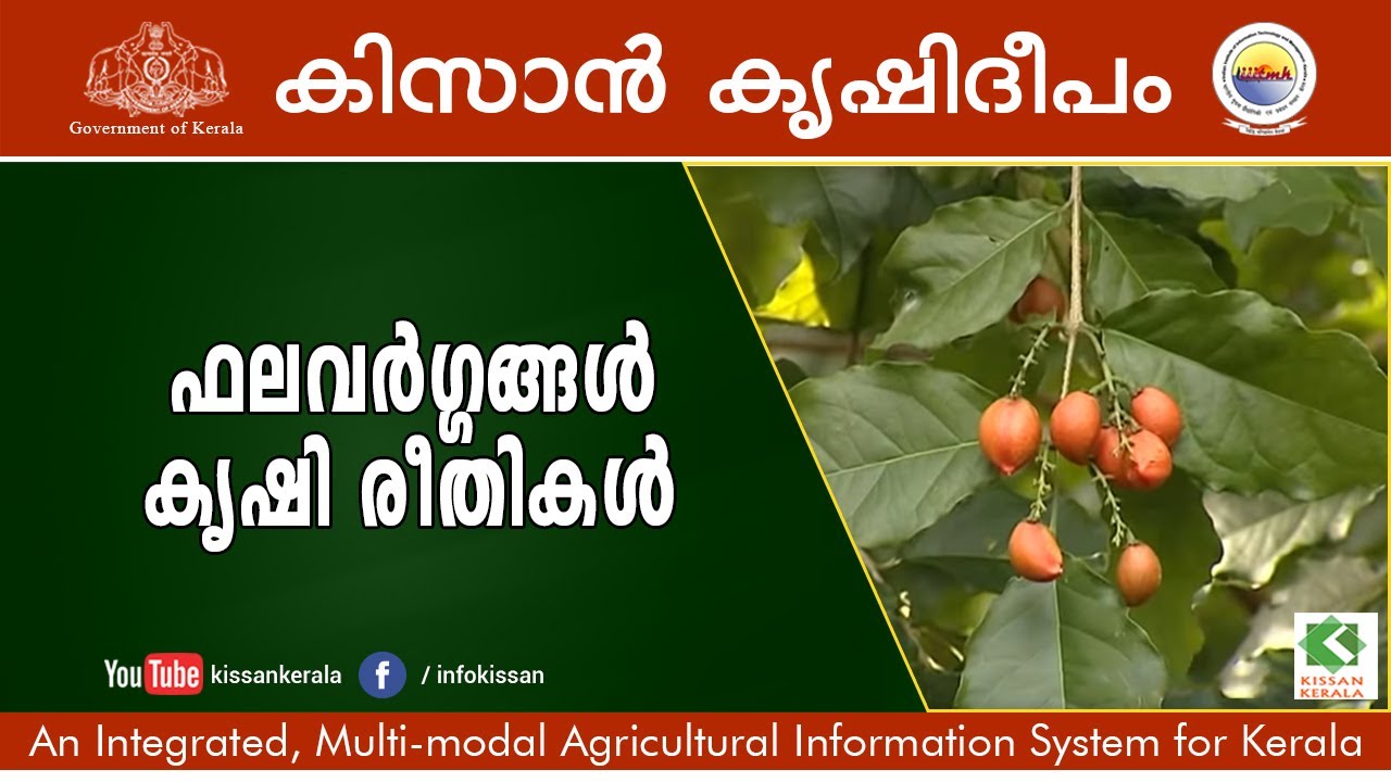 Cultivation of Fruit Plants - Episode - 626