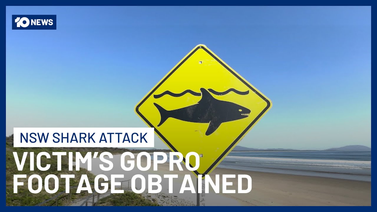 Victims Film Dolphins On GoPro Moments Before Deadly Shark Attack At Crowdy Bay NSW | 10 News