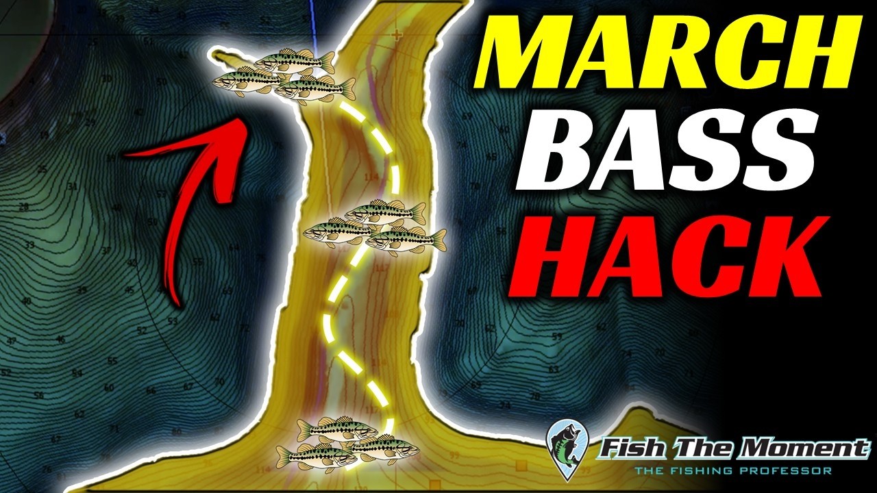 Finding Bass at 30mph: This Will Save You Hours of Searching