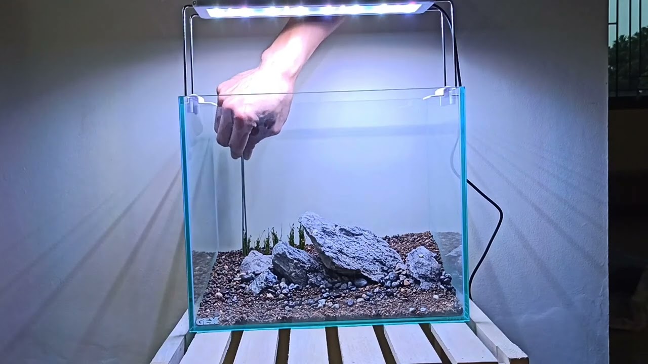 Cara membuat aquascape tema iwagumi mudah dan ga ribet | Tanpa CO2
