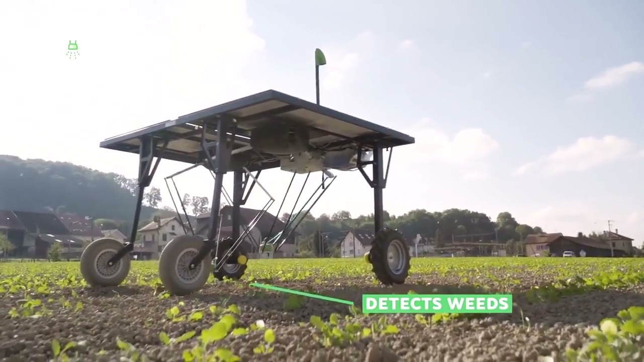 Ecorobotix Smart Weeding Robot