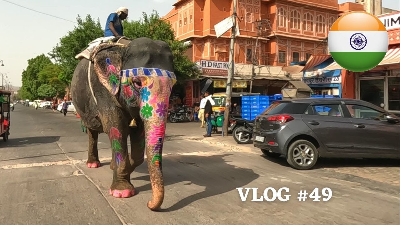 Le Fort d'Amber, mais pas à dos d'éléphant - Inde Vlog 49