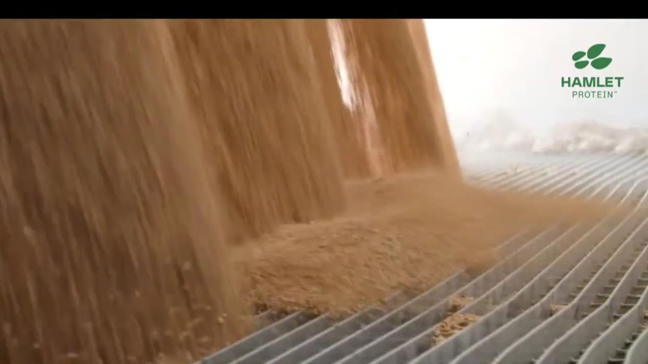 Cinética de Proteínas y Dinámica de la Digestión, conceptos que enmarcan nutrición animal a futuro.