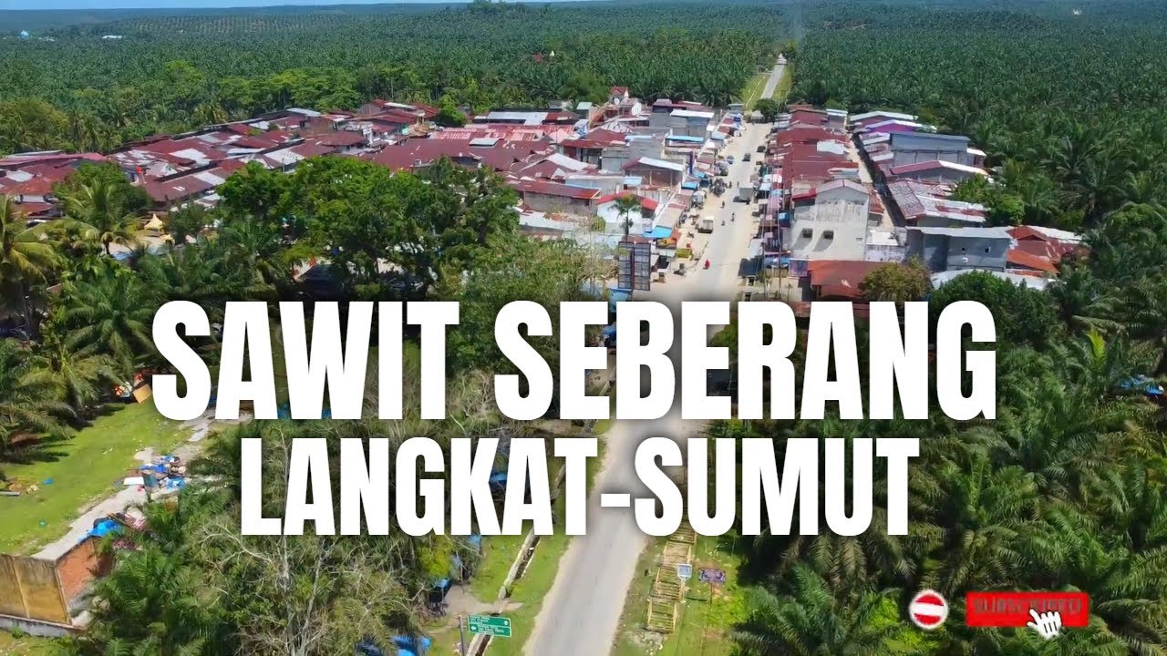 Jelajah Sawit Seberang: Petualangan Udara Keren di Langkat