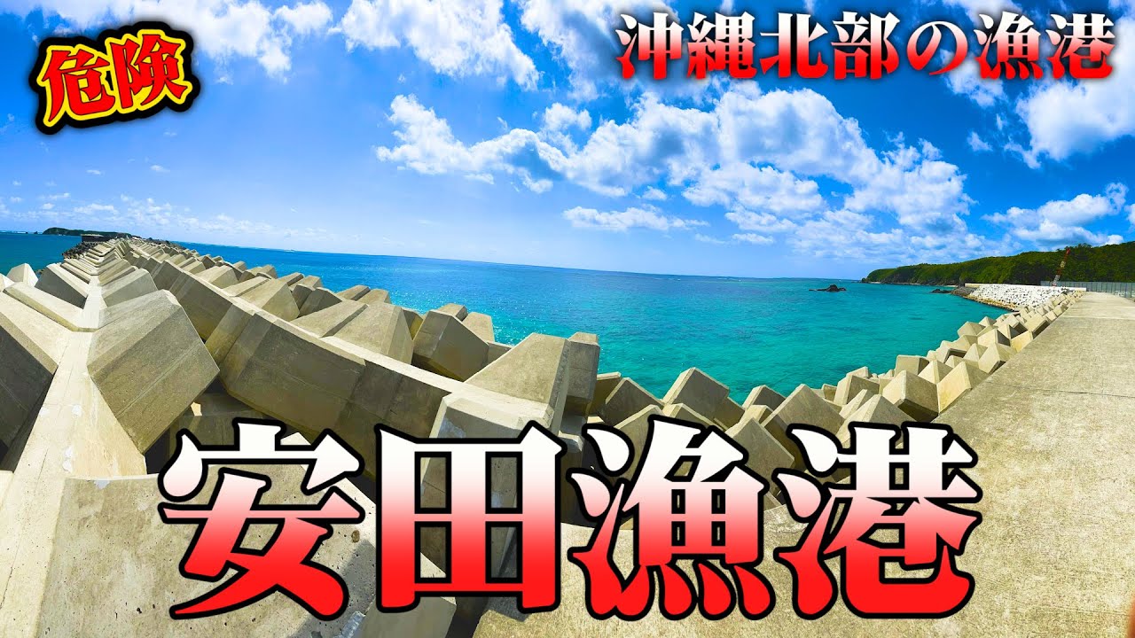 安田漁港【沖縄北部の漁港】