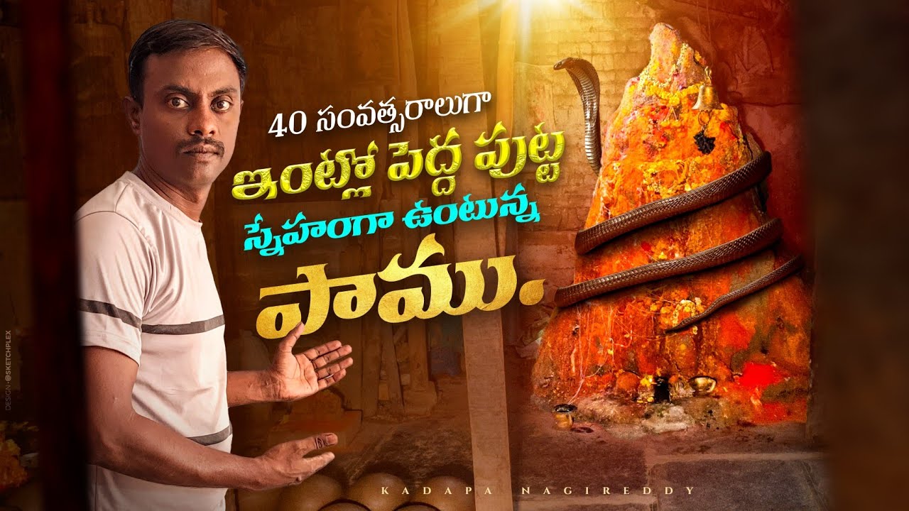 40 సంవత్సరాలుగా ఇంట్లో పాములు పుట్టతో జీవిస్తున్న కుటుంబం | House In Nagula Mounds