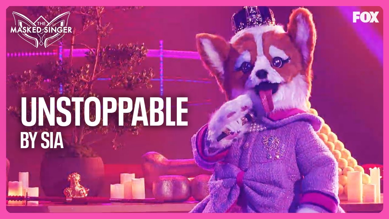 Queen Corgi Full Performance: 