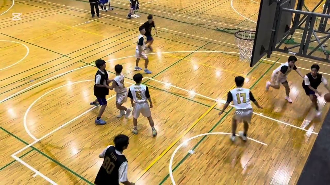 2026.02.28  ゴールデンウォンバット