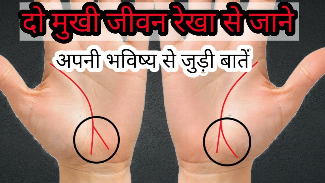 2 mukhi jeevan rekha | दो मुखी जीवन रेखा से जाने अपने भविष्य से जुड़ी बातें
