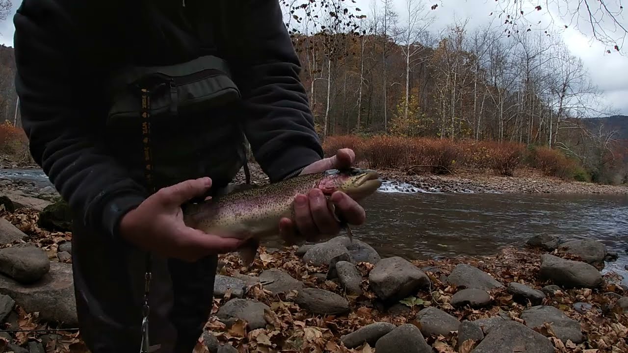 West Virginia Fall Trout Fishing '22 Week 2