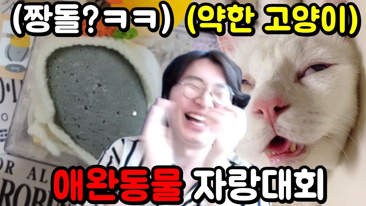 세상에서 제일 특이한 시청자 애완동물 자랑대회ㅋㅋㅋㅋ