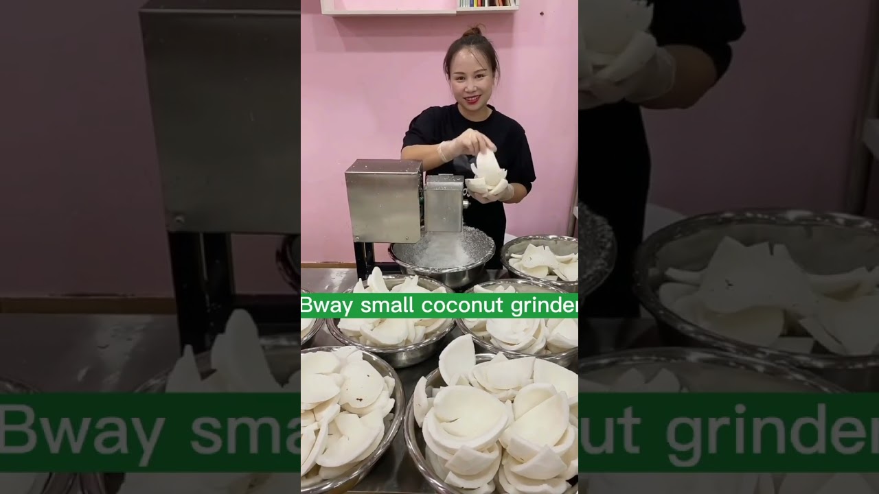 Economic coconut grinder suitable for shops