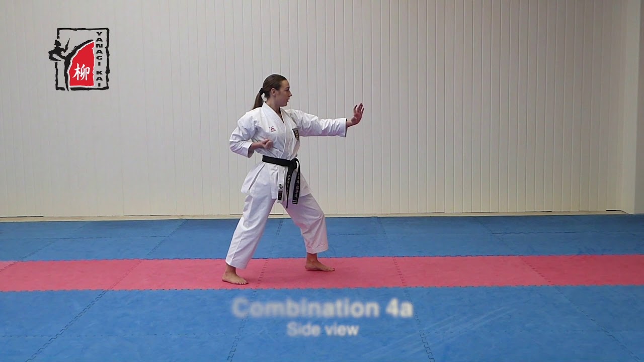 Grading Syllabus - 8th kyu (yellow belt)