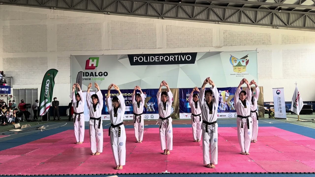 2022 Kukkiwon demo team in Mexico  국기원 시범단 멕시코 파견 시범