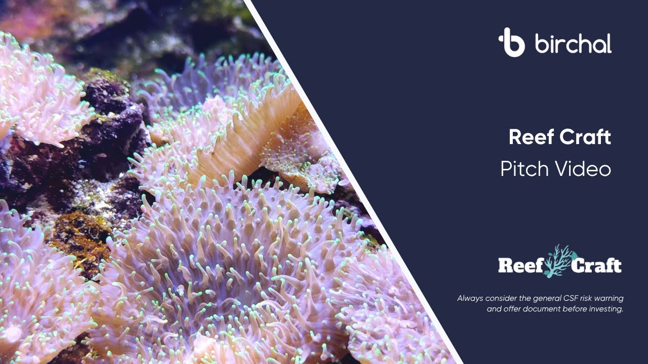 Reef Craft CSF Pitch Video