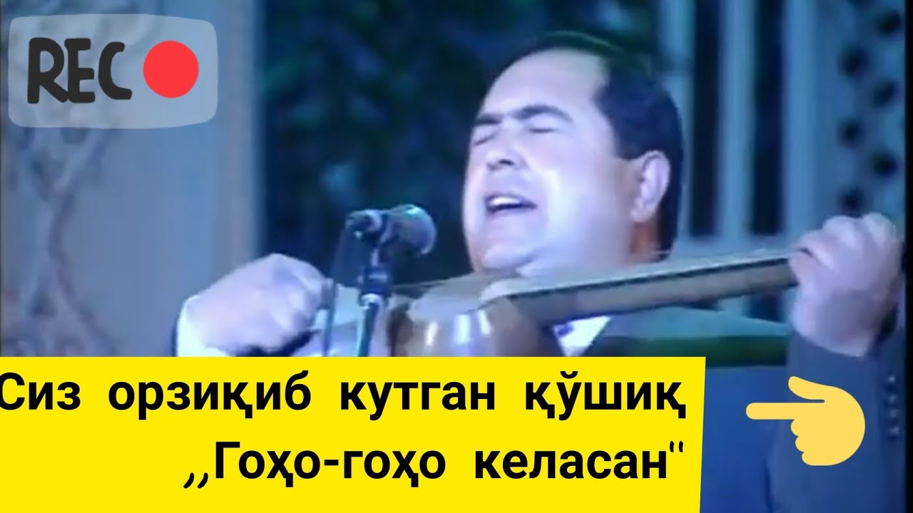 Гохо-гохо ЖОНЛИ ижро МАЪМУРЖОН ТЎХТАСИНОВ & Goho-goho  jonli ijro Ma'murjon To'xtasinov
