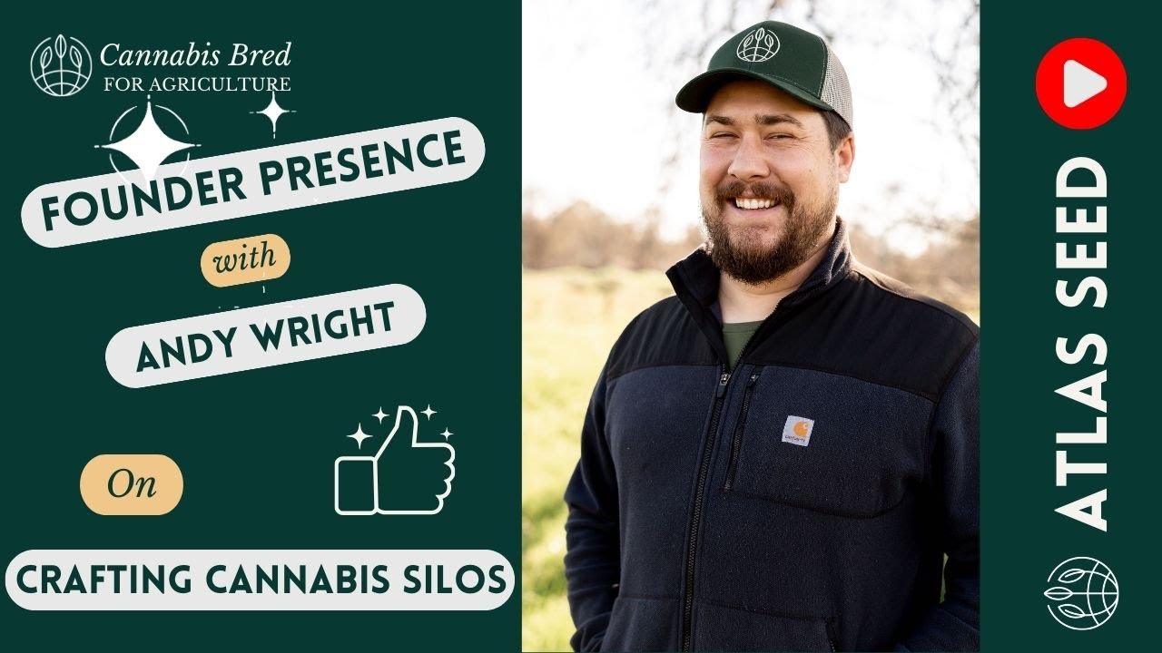 Crafting Cannabis Silos - Selecting Cannabis Genetics to Fill Common Categorical Market Needs