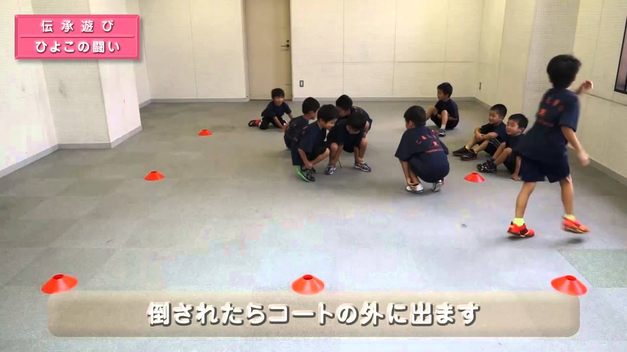 ひよこの闘い