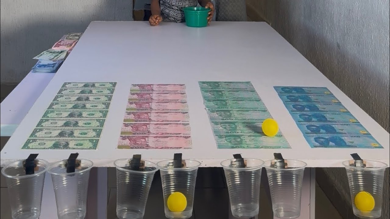 🆕Game‼️- ROLL THE BALL 🏀 INTO A CUP TO WIN ALOT MONEY💰 CHALLENGE - SMART & INTERESTING FAMILY GAME 