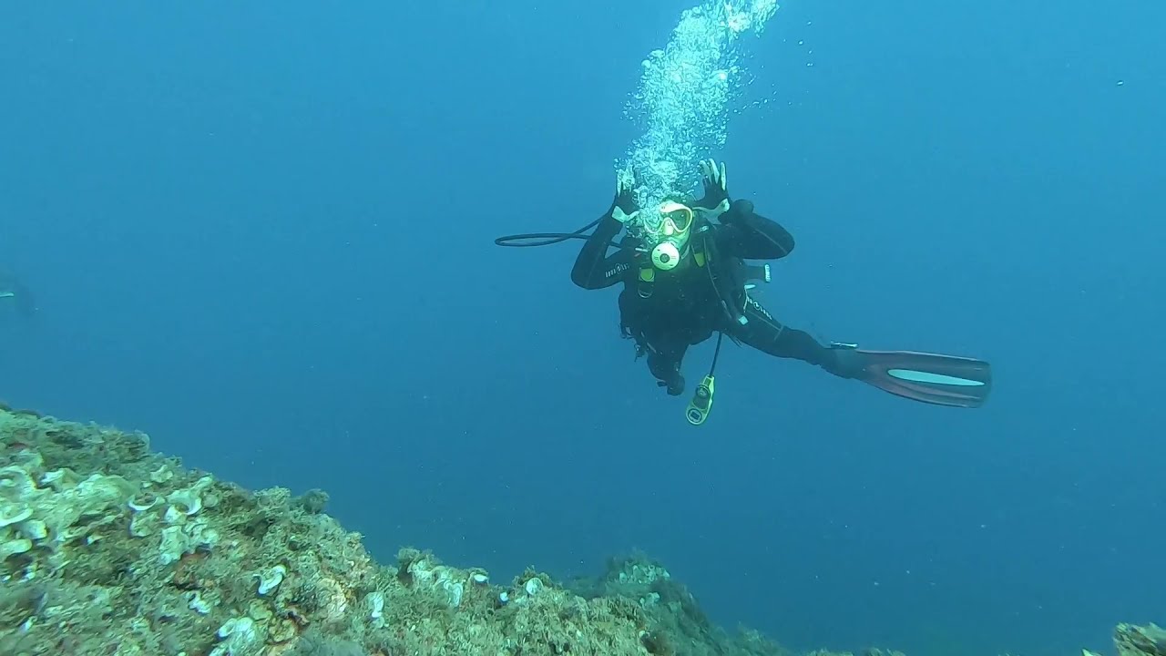 Buceo en el mejor sitio de la Costa Brava. Furrio Fito.  Agosto 2021