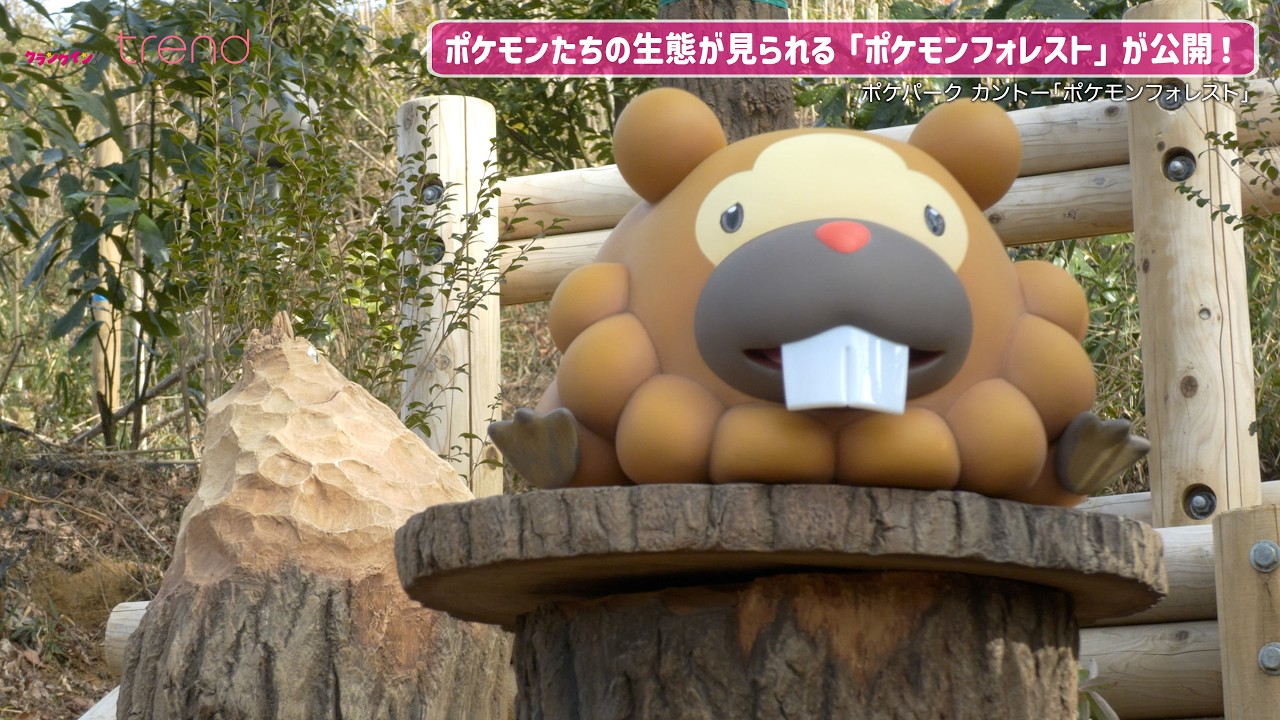 ポケモンたちの生態が見られる！「ポケパーク カントー」ポケモンフォレストが公開／Pok&eacute;Park KANTO Pok&eacute;mon Forest