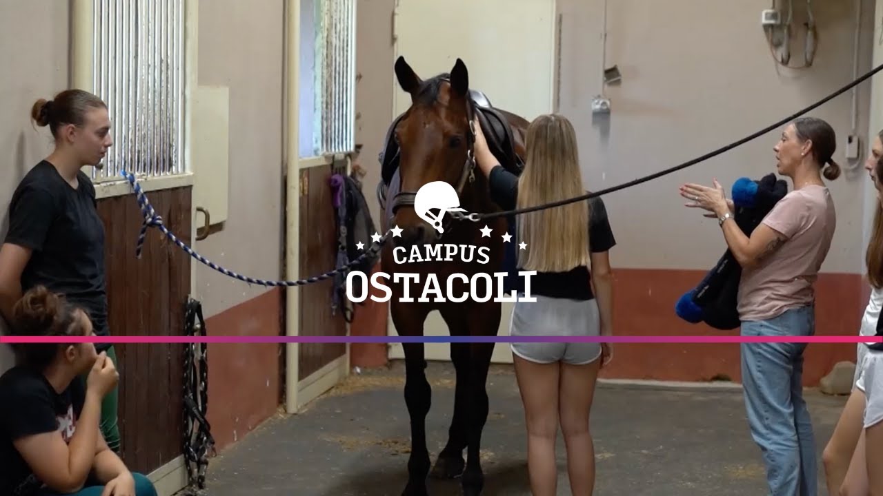 CAMPUS OSTACOLI (27/10/24)