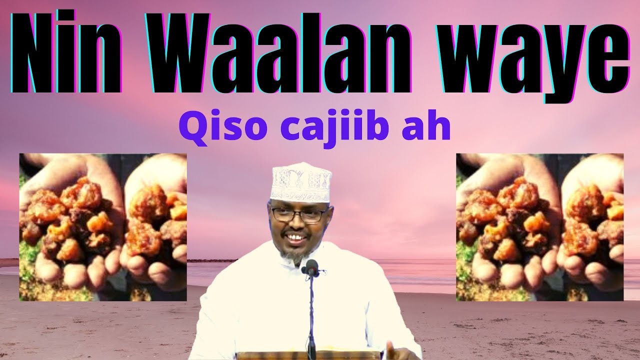 Qisi Cajiib Ah Oo Qosol Badan, Cibro Qaadasho Mudan Sh Xassaan