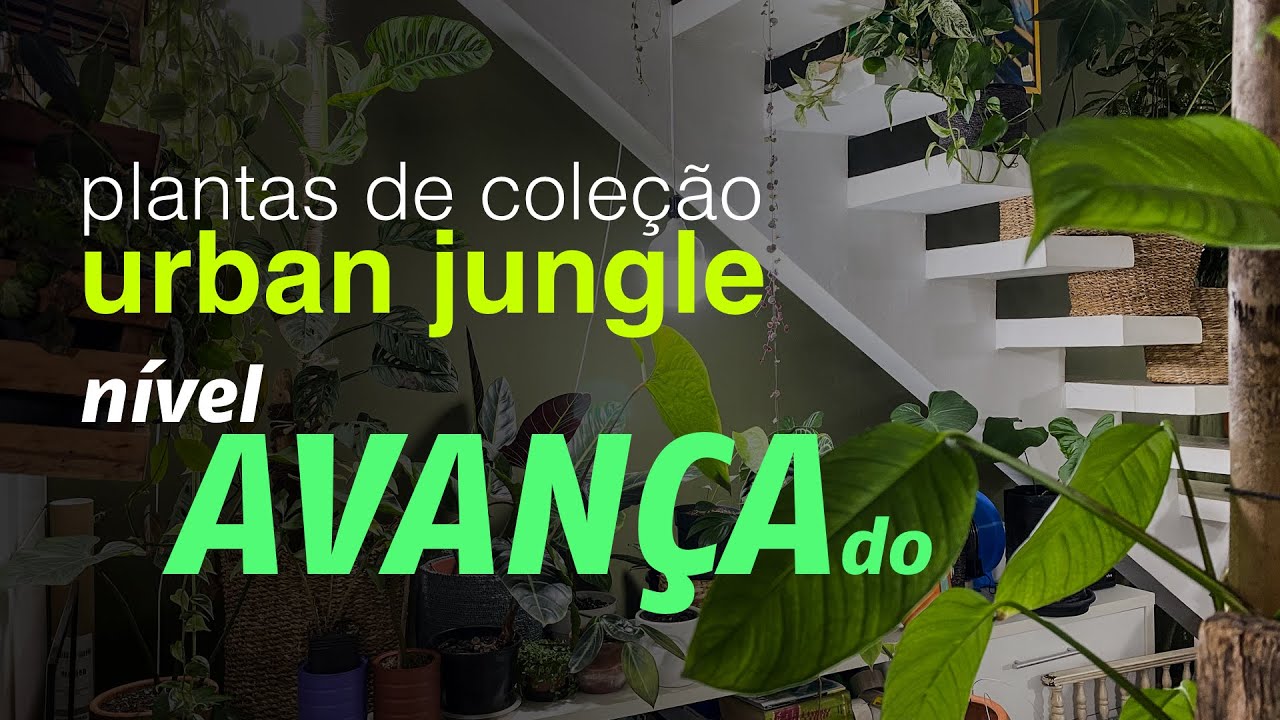 Plantas de Coleção Urban Jungle | Nível Avançado | Jardineiros Urbanos por Flay