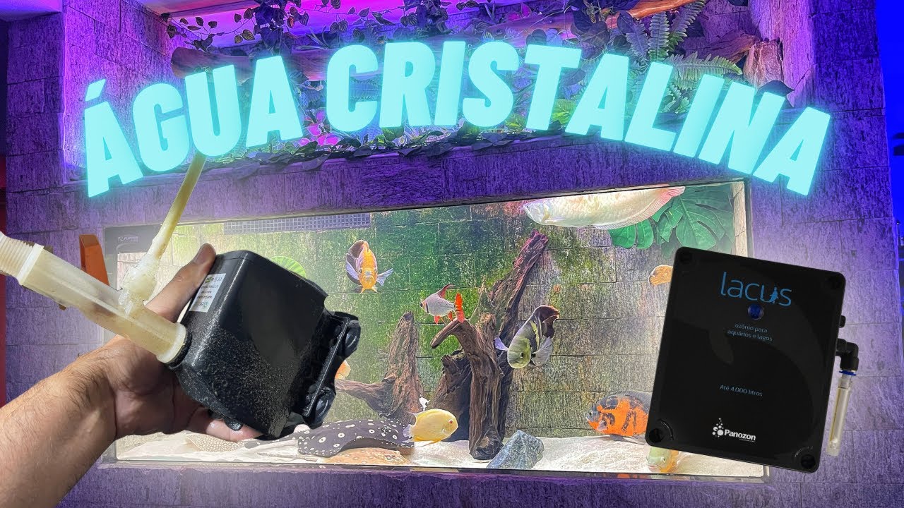 🔴 SISTEMA DE OZÔNIO PARA AQUÁRIO JUMBO