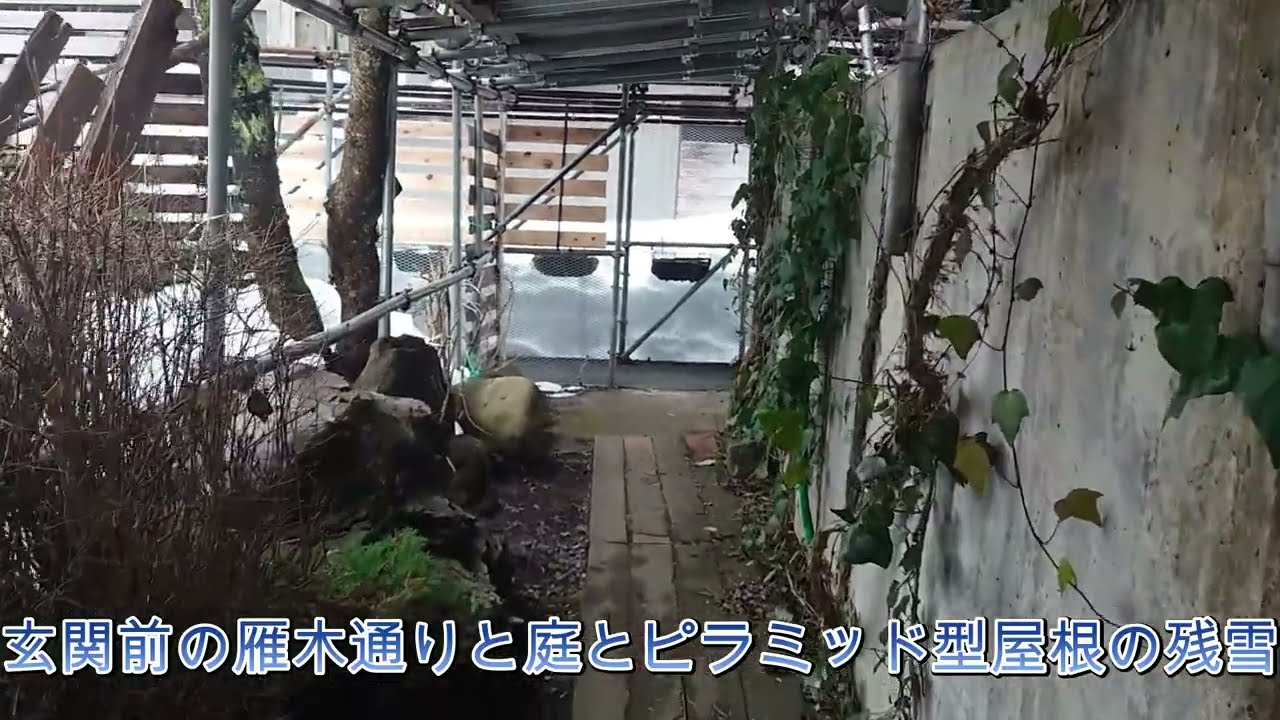 2026年2月16日(月)自然融雪屋根