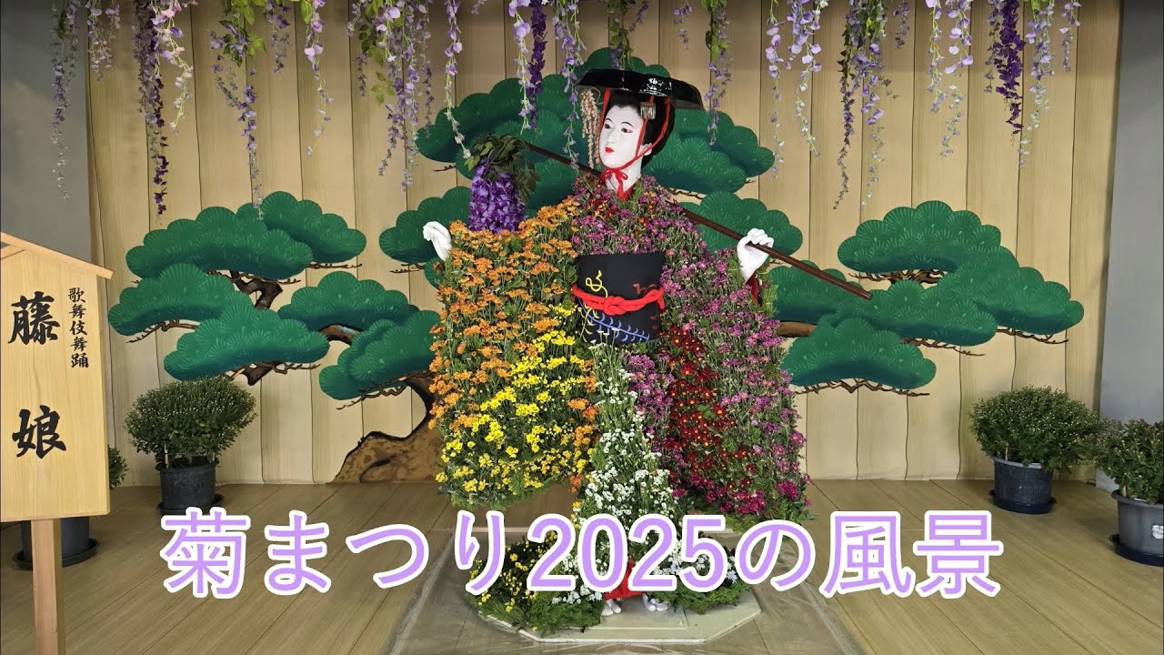 菊まつり2025の風景