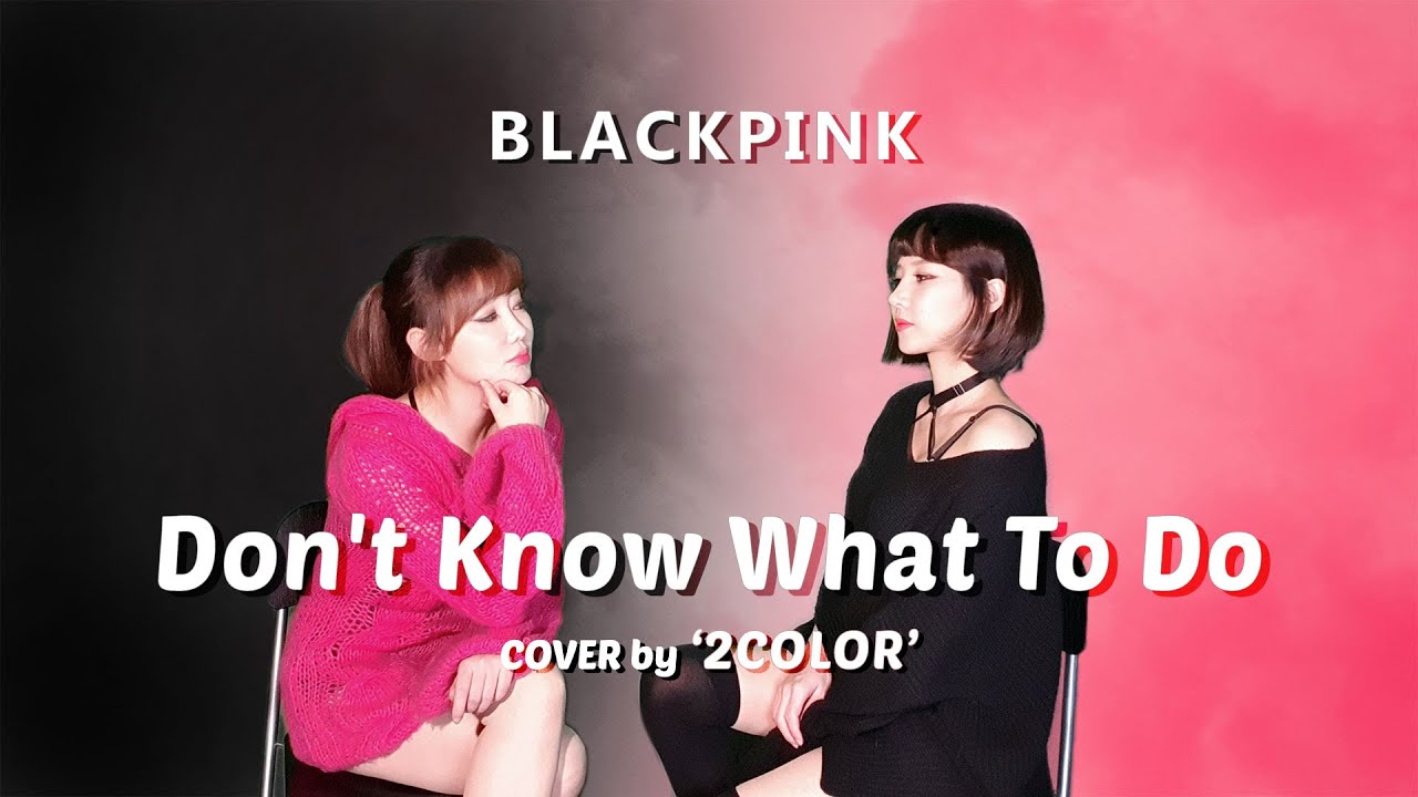 [BLACKPINK] Don't Know What To Do - Cover By 2COLOR  Flute &Violin , 블랙핑크 커버연주