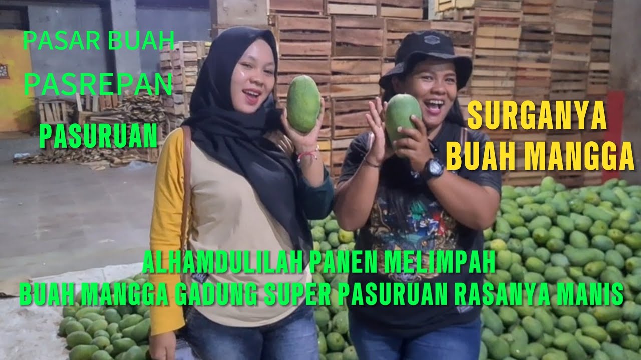 ALHAMDULILAH PANEN MELIMPAH BUAH MANGGA GADUNG SUPER DI PASAR PASREPAN PASURUAN JAWA TIMUR