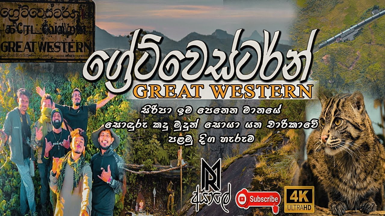 GREAT WESTERN | ග්‍රේට්වෙස්ටර්න් | සිරිපා ඉම පෙනෙන මානයේ කදවුරු රාත්‍රිය🇱🇰 | #coking #travel