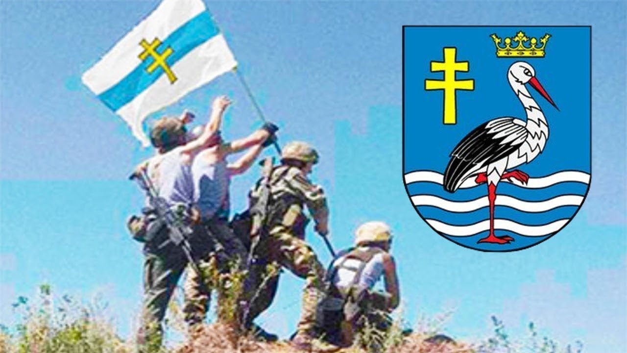 Zare4stream - Сombat Mission: Black Sea - Вейшнория стронг! (1 серия)