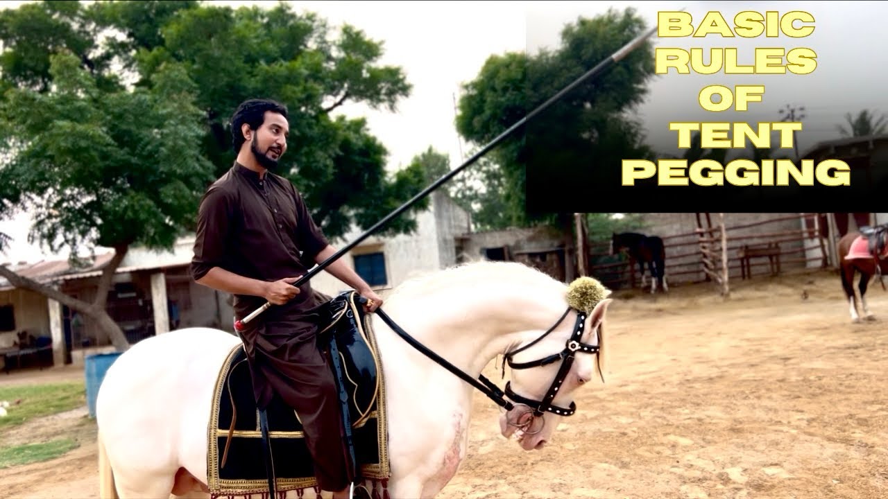 Basic Rules of Tent Pegging|| Nezabazi Start karny Sy Pehly Ye sekhen 😤 || Best lesson for beginners