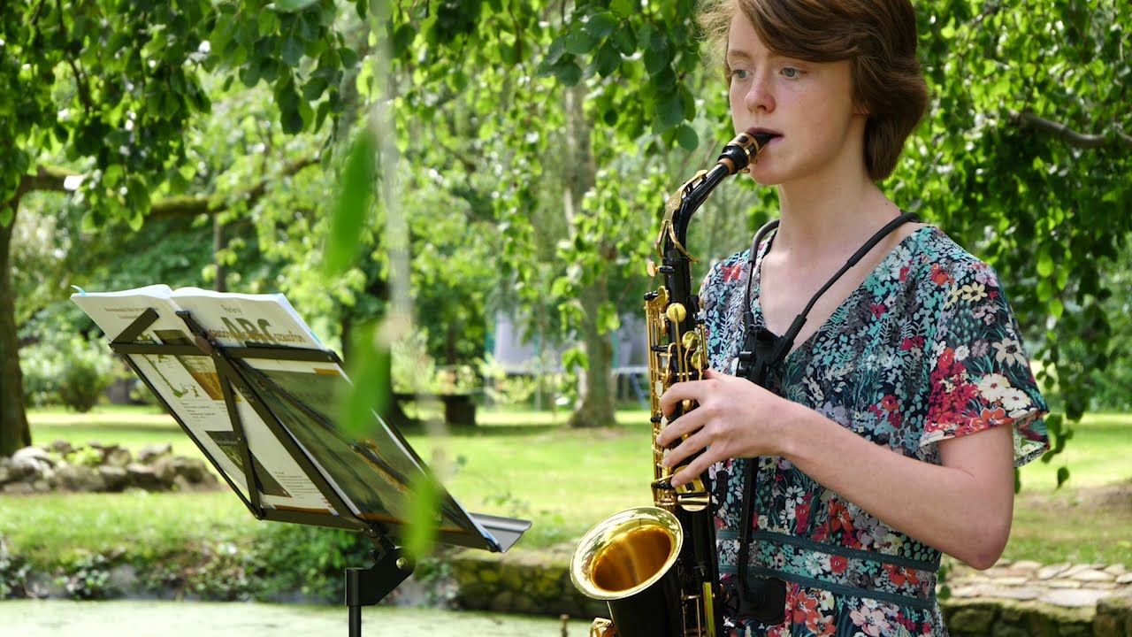 Musikalische Landschaften