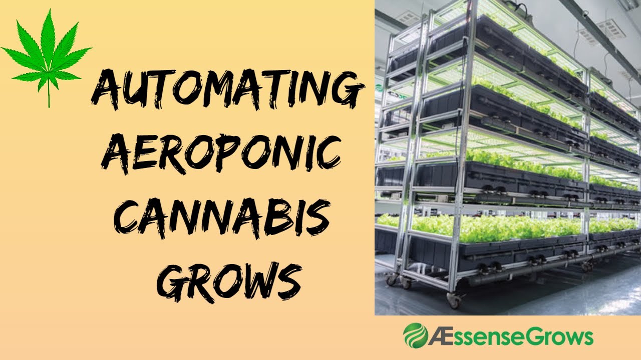 Intelligent-Cannabis-Growing-Systems-Aeroponics-#aescensecorp