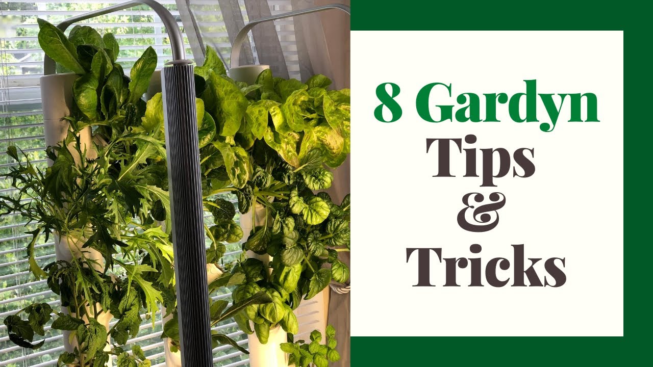 8 Gardyn Tips & Tricks