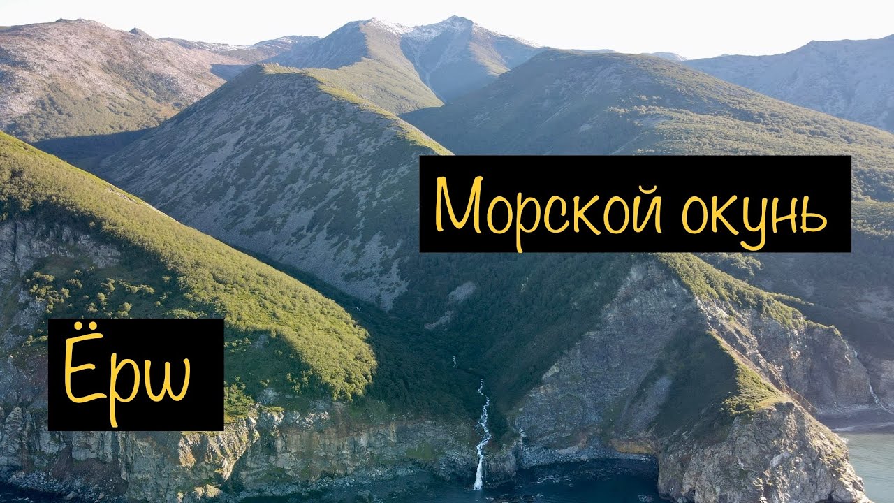 После морской рыбалки приготовил морского окуня. Магадан. Охотское море.