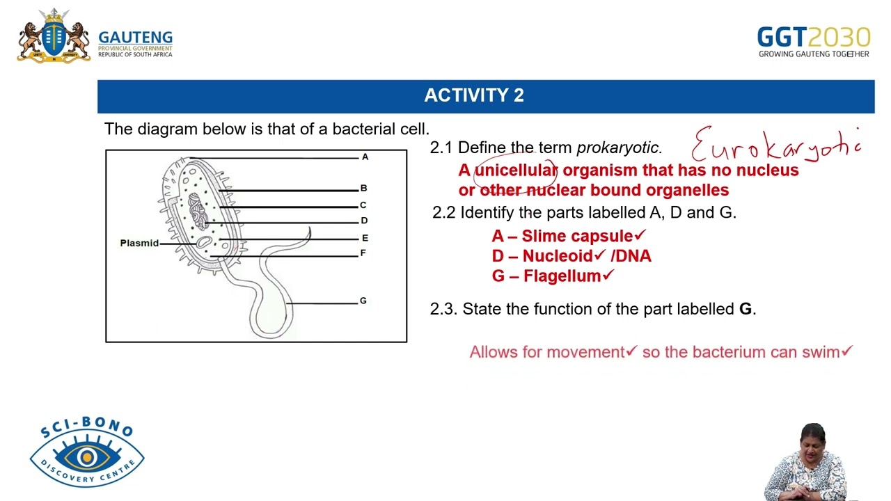 Life Sciences Grade 11