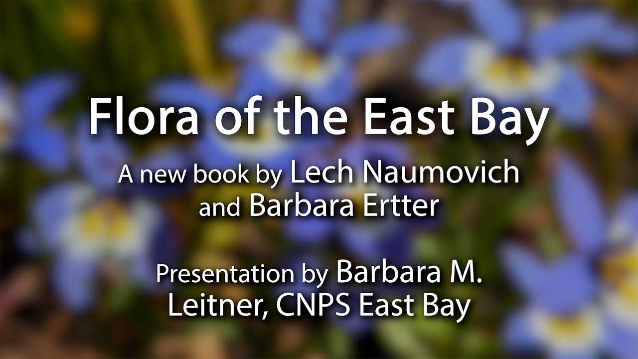 Flora of the East Bay