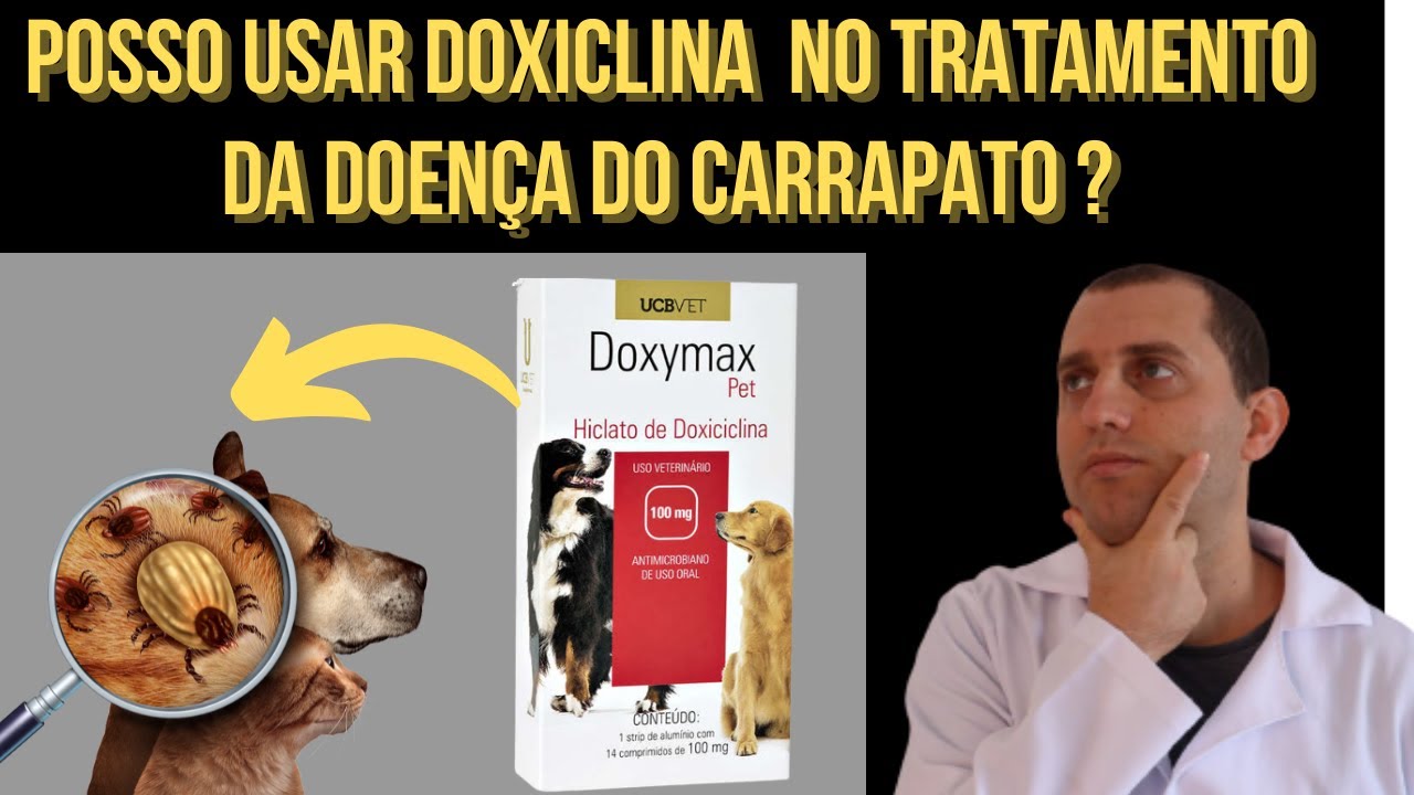 Doxiciclina cura doença do carrapato ?