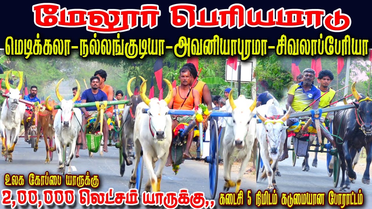 2மதுரை மாவட்டம் மேலூர் 2 லட்சம் 20 ஆயிரம்-பெரியமாடு-பந்தயம்- 3,5,2024