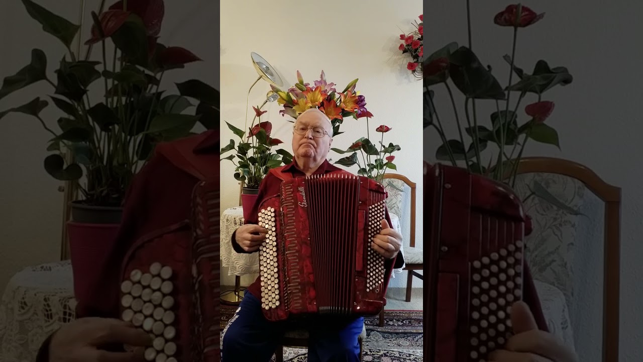 Снег летит и летит. 