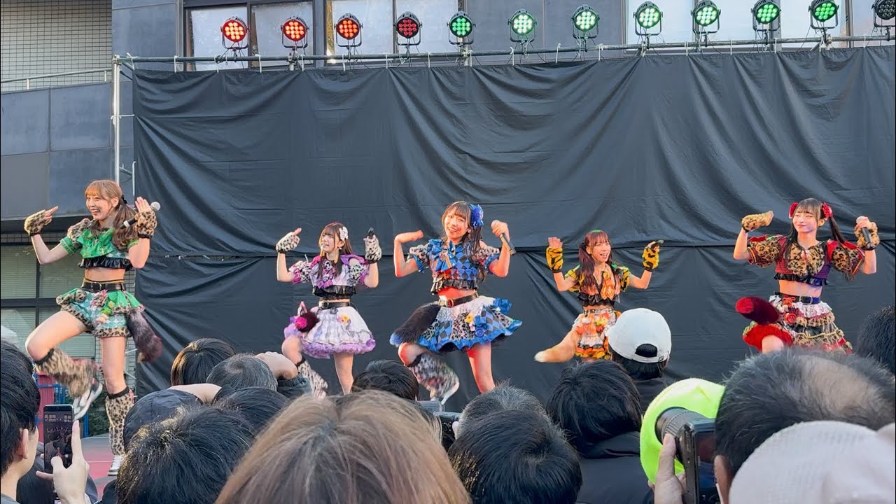 スプスラッシュ 2024.11.23 駒場祭「KOMABA IDOL FESTIVAL」＠東京大学駒場キャンパス